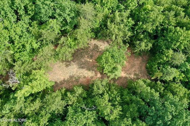 610 Cooper Rd, Vonore, TN 37885 - photo 43