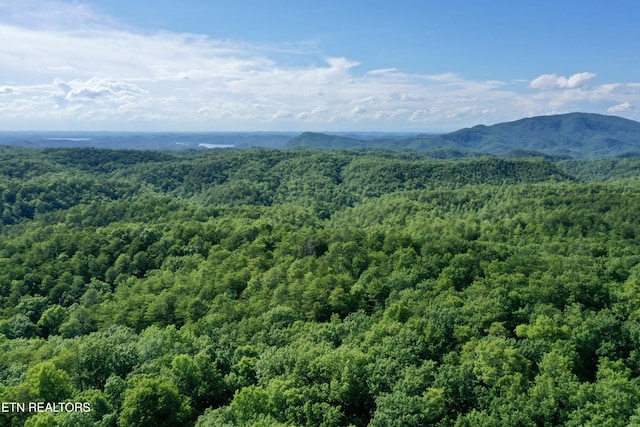 610 Cooper Rd, Vonore, TN 37885 - photo 44