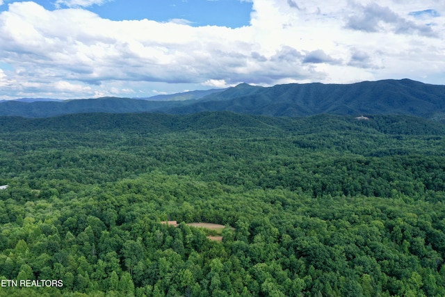 610 Cooper Rd, Vonore, TN 37885 - photo 45