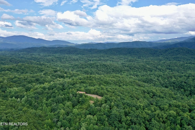 610 Cooper Rd, Vonore, TN 37885 - photo 46