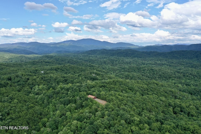 610 Cooper Rd, Vonore, TN 37885 - photo 47