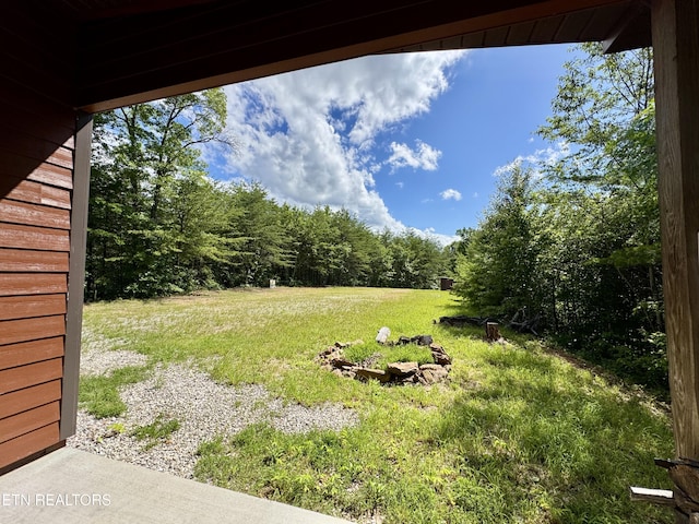 610 Cooper Rd, Vonore, TN 37885 - photo 52