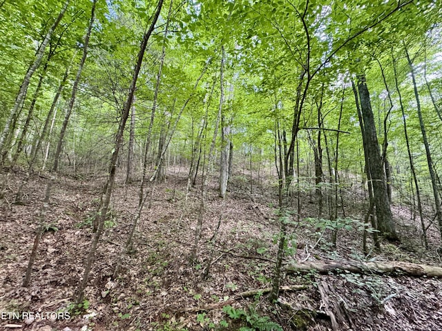 610 Cooper Rd, Vonore, TN 37885 - photo 58