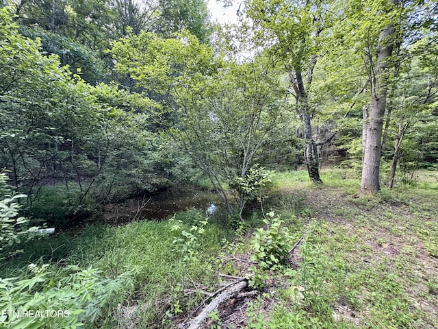 610 Cooper Rd, Vonore, TN 37885 - photo 59