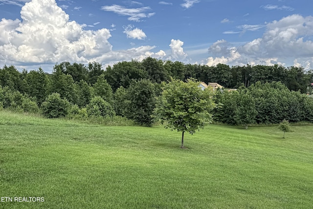 433 Water View Dr, Rockwood, TN 37854 - photo 49
