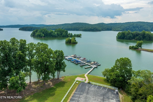 433 Water View Dr, Rockwood, TN 37854 - photo 54