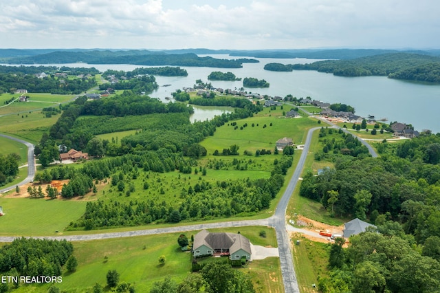 433 Water View Dr, Rockwood, TN 37854 - photo 50