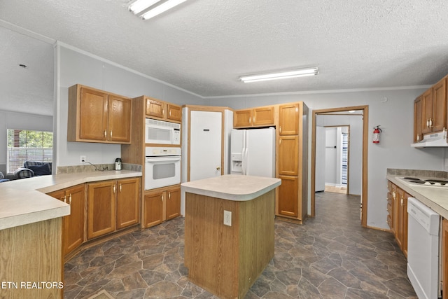 442 Half Moon Rd, Oliver Springs, TN 37840 - photo 11