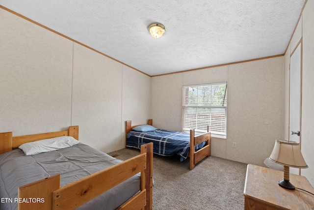 442 Half Moon Rd, Oliver Springs, TN 37840 - photo 23
