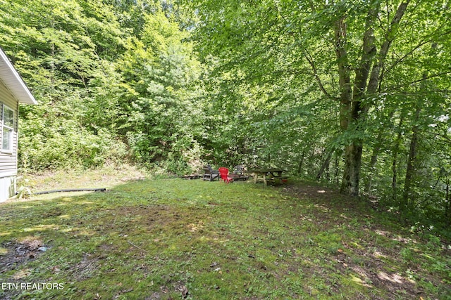 442 Half Moon Rd, Oliver Springs, TN 37840 - photo 32