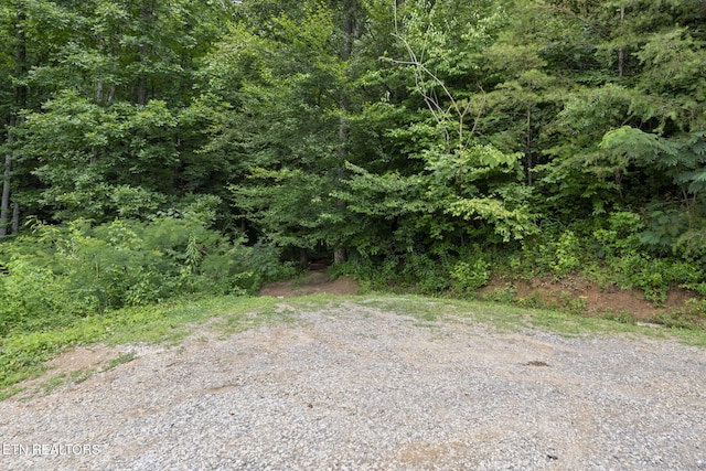 442 Half Moon Rd, Oliver Springs, TN 37840 - photo 35