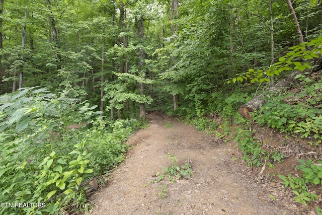 442 Half Moon Rd, Oliver Springs, TN 37840 - photo 36