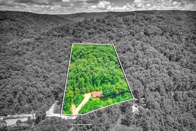 442 Half Moon Rd, Oliver Springs, TN 37840 - photo 37