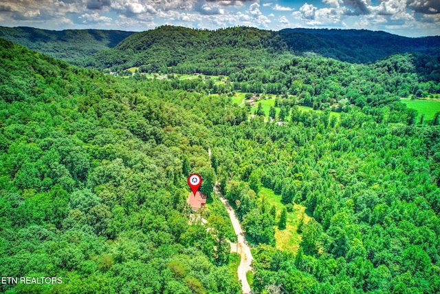 442 Half Moon Rd, Oliver Springs, TN 37840 - photo 39