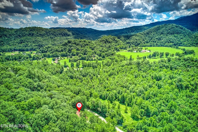 442 Half Moon Rd, Oliver Springs, TN 37840 - photo 40