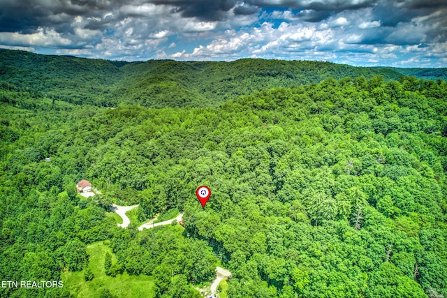 442 Half Moon Rd, Oliver Springs, TN 37840 - photo 46