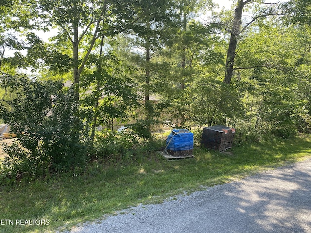 140 Windsor Rd, Fairfield Glade, TN 38558 - photo 13