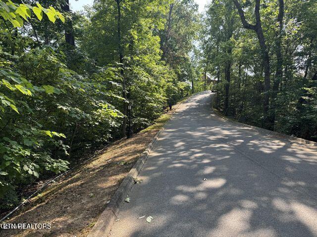 2432 Hawks Nest Way, Sevierville, TN 37862 - photo 3
