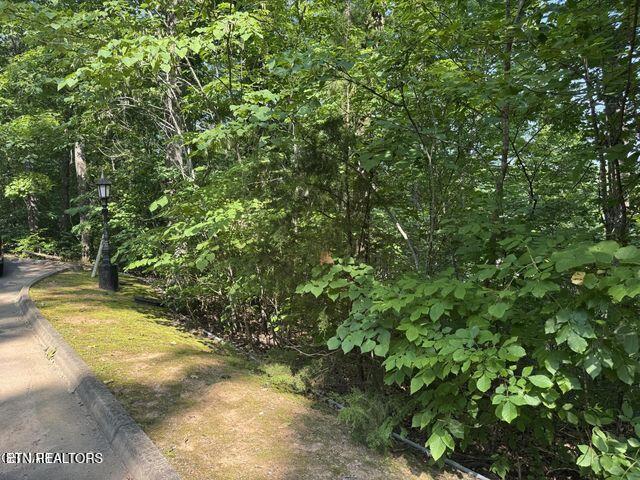 2432 Hawks Nest Way, Sevierville, TN 37862 - photo 2