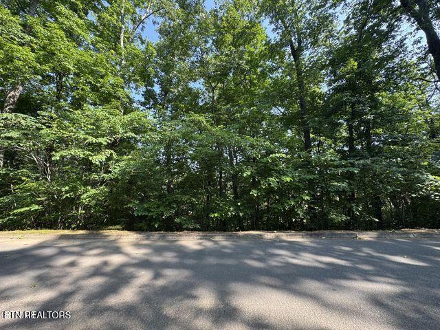 2432 Hawks Nest Way, Sevierville, TN 37862 - photo 1