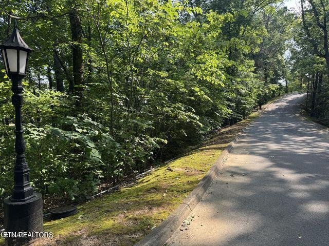 2432 Hawks Nest Way, Sevierville, TN 37862 - photo 4