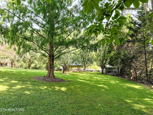 721 Leisure Way, Newport, TN 37821 - view of yard