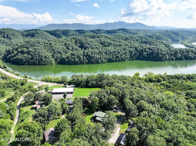 721 Leisure Way, Newport, TN 37821 - bird's eye view of a forest and a water and mountain view