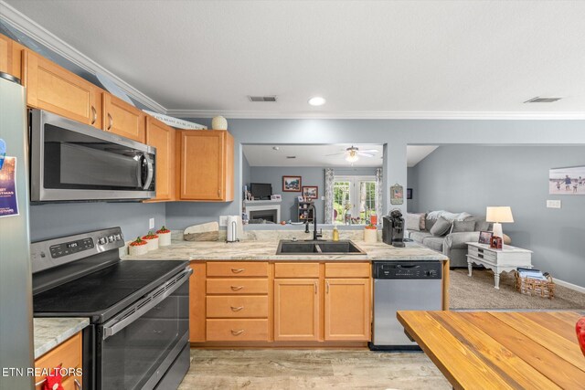 3701 Eliza Pointe Way, Knoxville, TN 37921 - kitchen featuring stainless steel appliances, ornamental molding, open floor plan, a peninsula, and a ceiling fan
