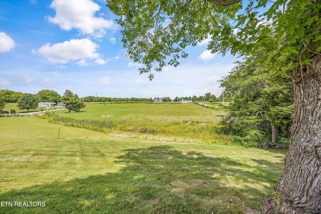 9329 N Ruggles Ferry Pike, Strawberry Plains, TN 37871 - photo 17
