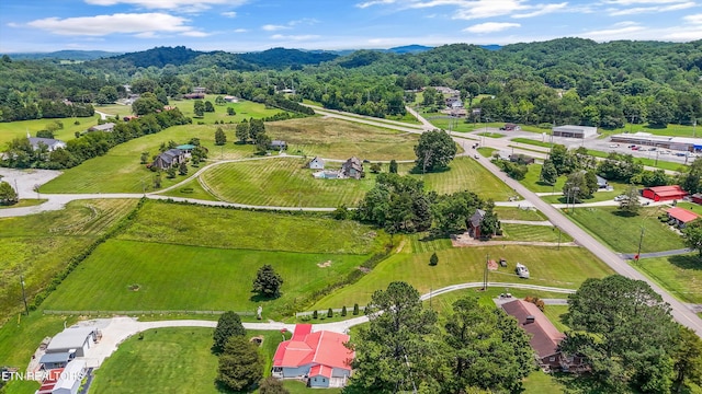 9329 N Ruggles Ferry Pike, Strawberry Plains, TN 37871 - photo 22