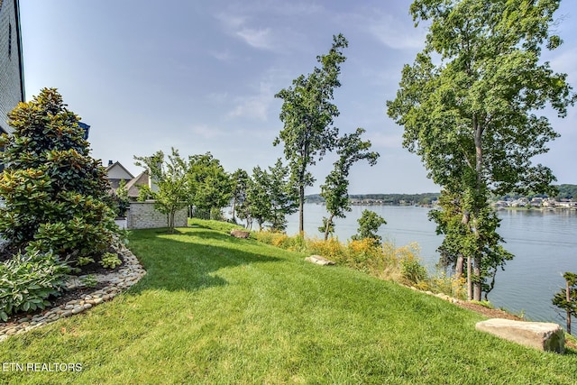 1270 Shadow Hill Dr, Lenoir City, TN 37772 - photo 53