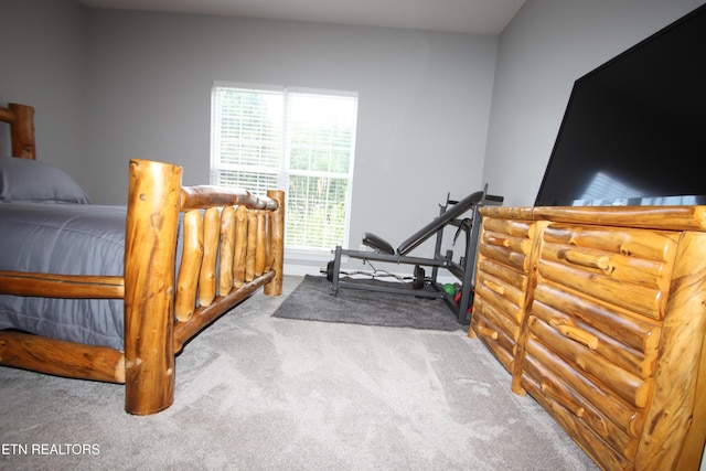 5843 Forest View Ln, Ooltewah, TN 37363 - bedroom with carpet flooring and baseboards