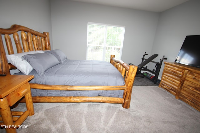 5843 Forest View Ln, Ooltewah, TN 37363 - bedroom featuring carpet flooring