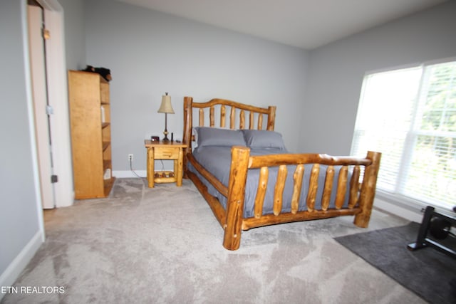 5843 Forest View Ln, Ooltewah, TN 37363 - bedroom featuring multiple windows and carpet flooring