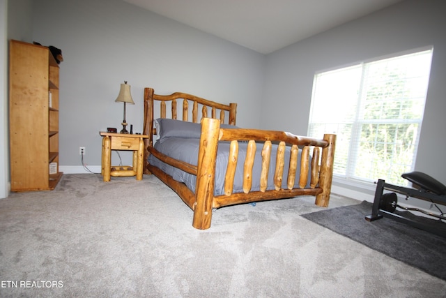 5843 Forest View Ln, Ooltewah, TN 37363 - bedroom featuring carpet and baseboards