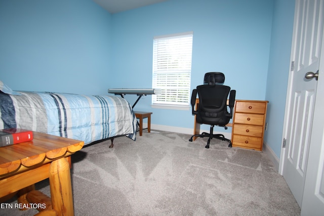 5843 Forest View Ln, Ooltewah, TN 37363 - bedroom with baseboards and carpet