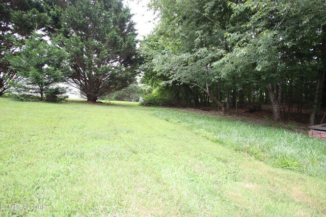 5843 Forest View Ln, Ooltewah, TN 37363 - view of yard
