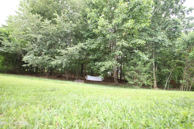 5843 Forest View Ln, Ooltewah, TN 37363 - view of green lawn