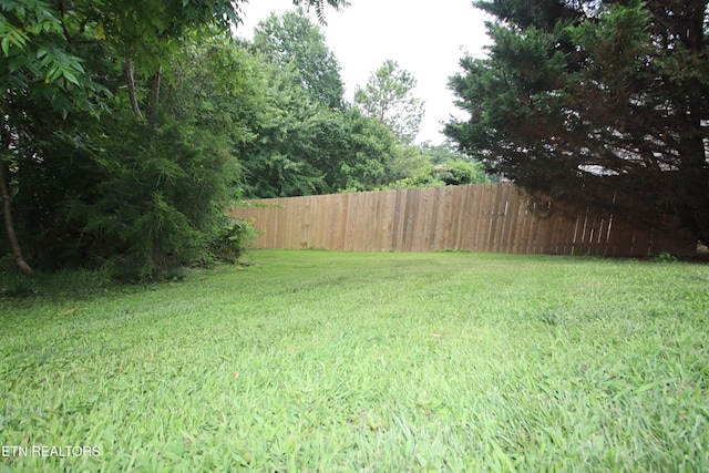 5843 Forest View Ln, Ooltewah, TN 37363 - view of yard