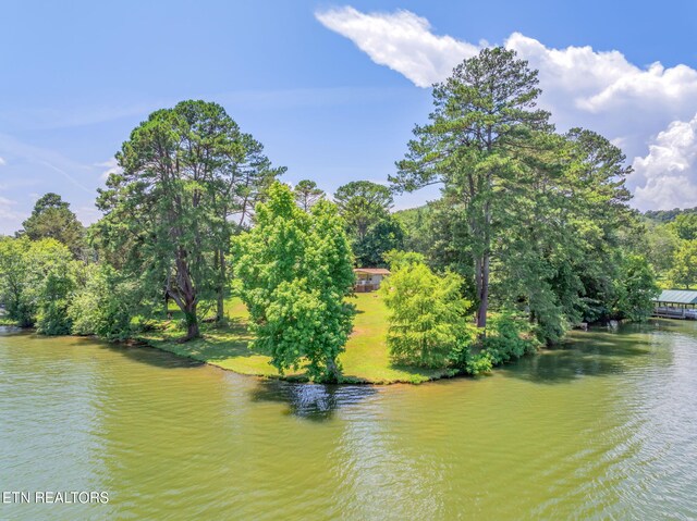 155 Bowsprit Ln, Kingston, TN 37763 - photo 43
