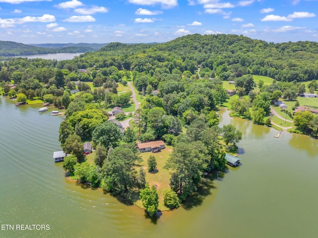 155 Bowsprit Ln, Kingston, TN 37763 - photo 44