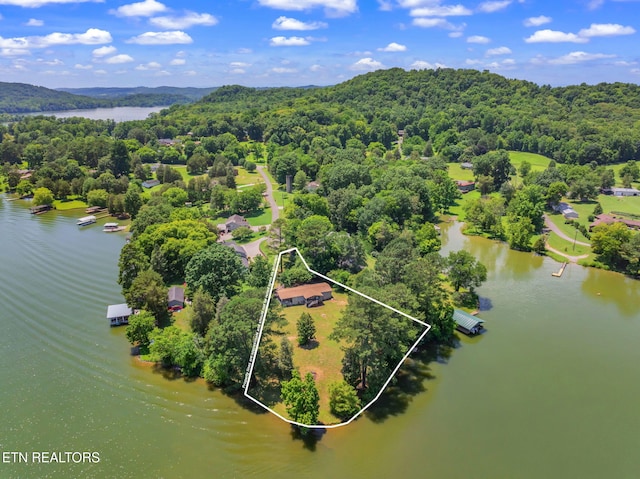 155 Bowsprit Ln, Kingston, TN 37763 - photo 45