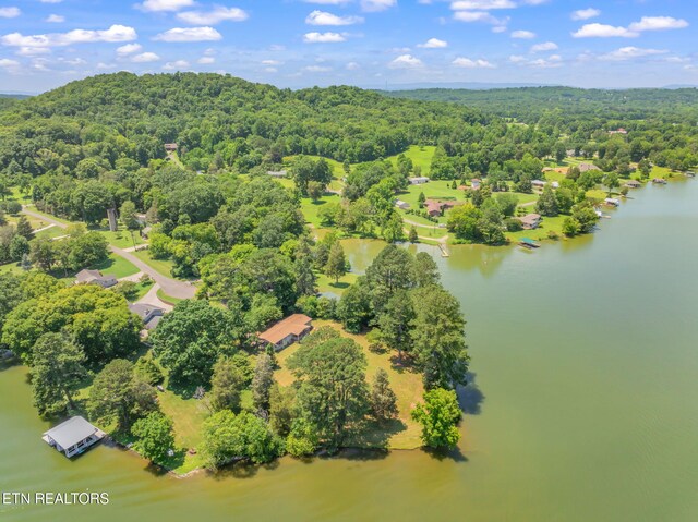 155 Bowsprit Ln, Kingston, TN 37763 - photo 46