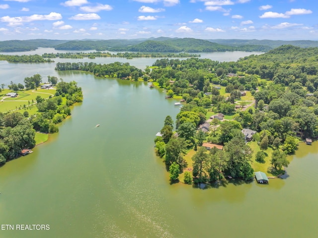 155 Bowsprit Ln, Kingston, TN 37763 - photo 48