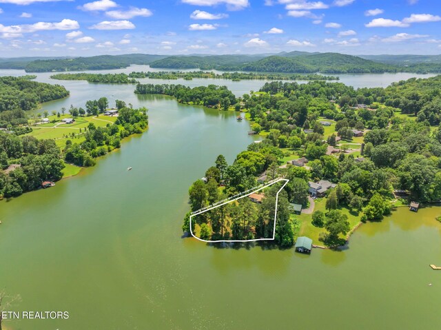155 Bowsprit Ln, Kingston, TN 37763 - photo 49