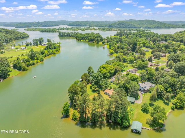 155 Bowsprit Ln, Kingston, TN 37763 - photo 50