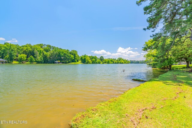 155 Bowsprit Ln, Kingston, TN 37763 - photo 31