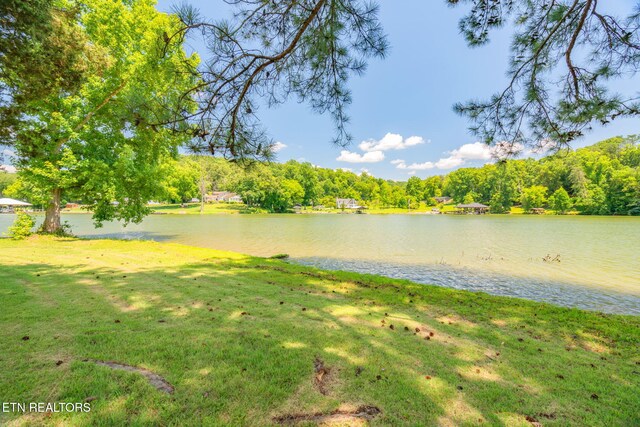155 Bowsprit Ln, Kingston, TN 37763 - photo 33
