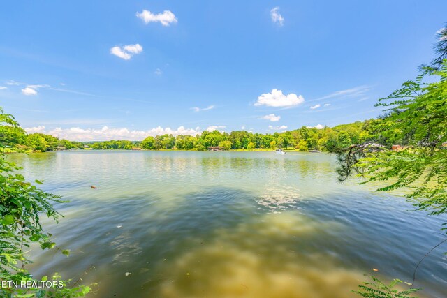 155 Bowsprit Ln, Kingston, TN 37763 - photo 35