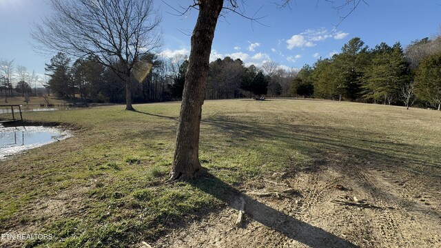 357 Doc Norton Rd, Walland, TN 37886 - photo 7